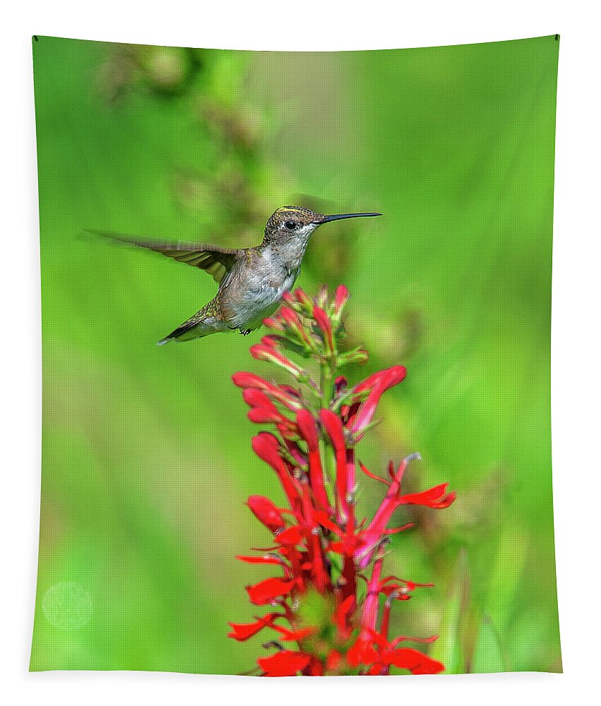 Nature Tapestry featuring the photograph Female Ruby-throated Hummingbird DSB0316 by Gerry Gantt