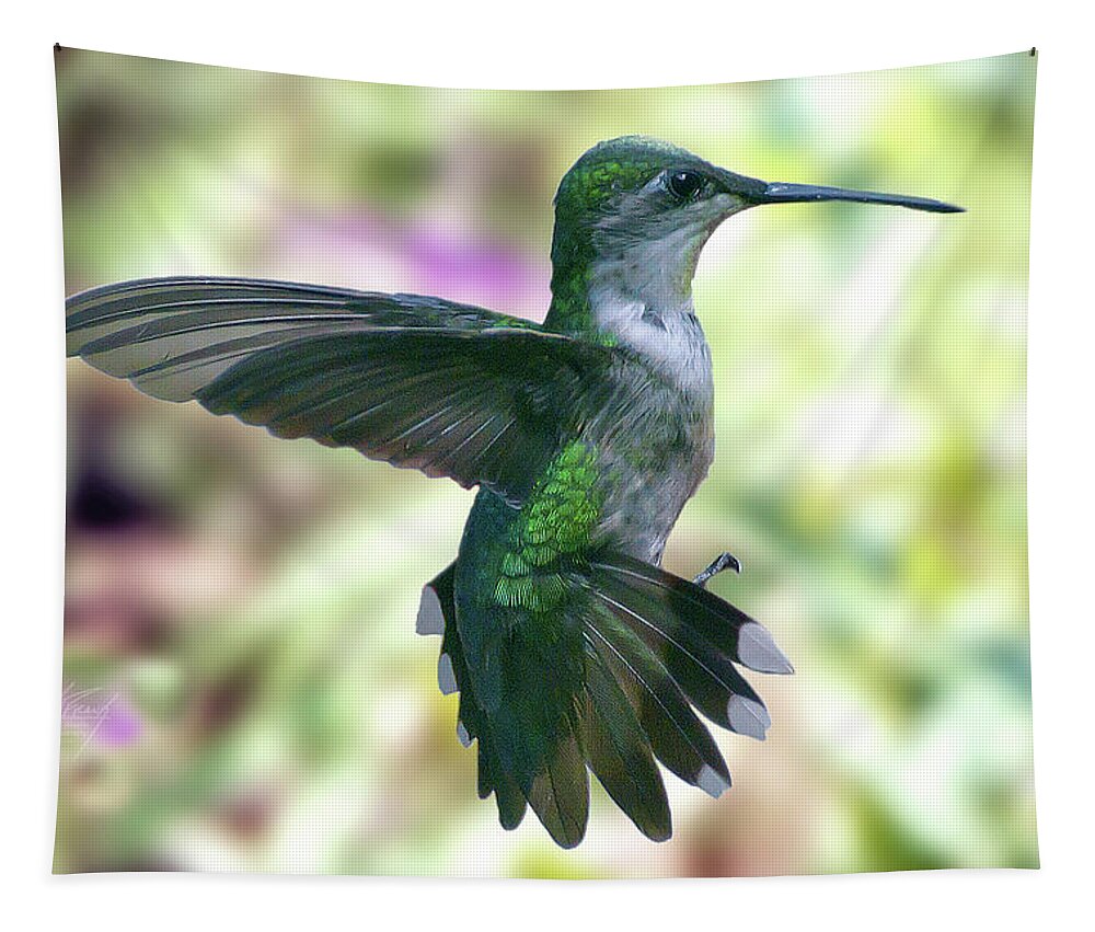 Hummingbird Tapestry featuring the photograph Female Ruby-Throated Hummingbird by Michael Frank