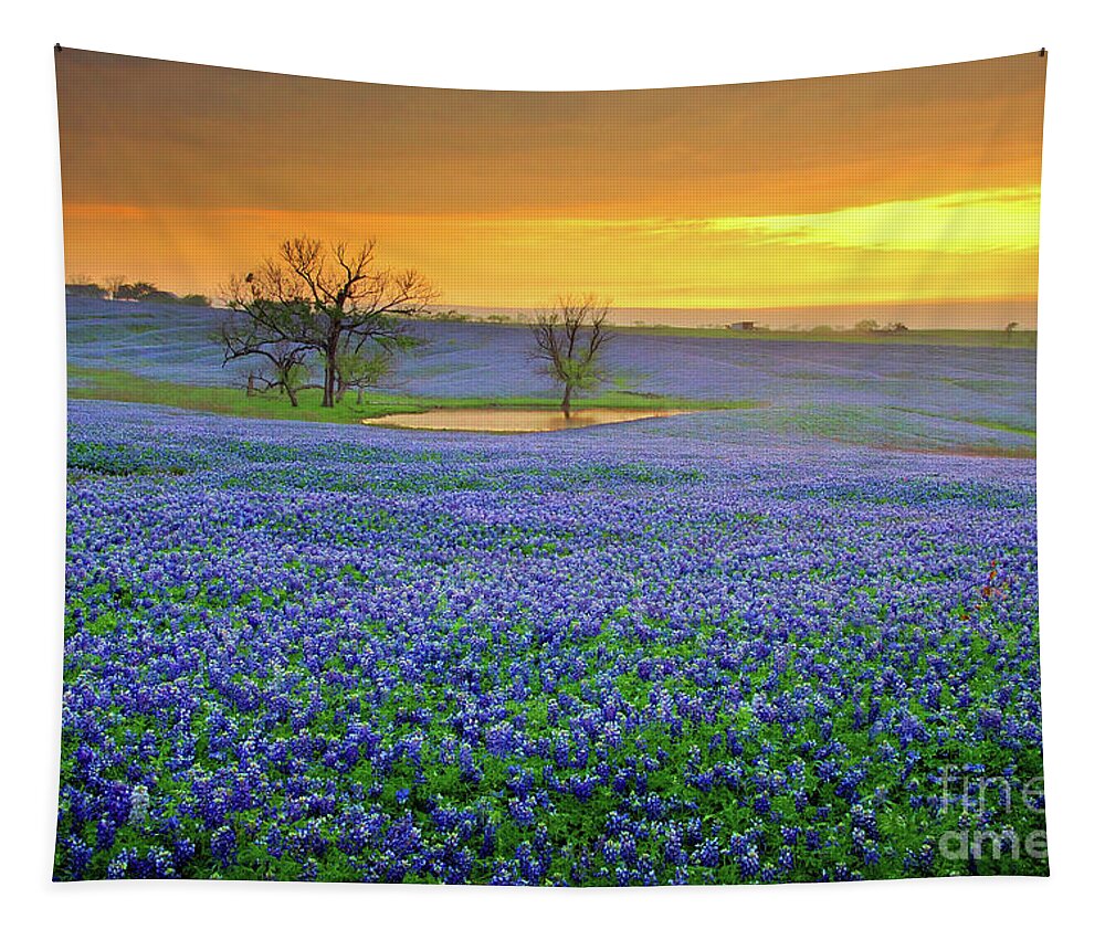 Texas Bluebonnets Tapestry featuring the photograph Field of Dreams Texas Sunset - Texas Bluebonnet wildflowers landscape flowers by Jon Holiday