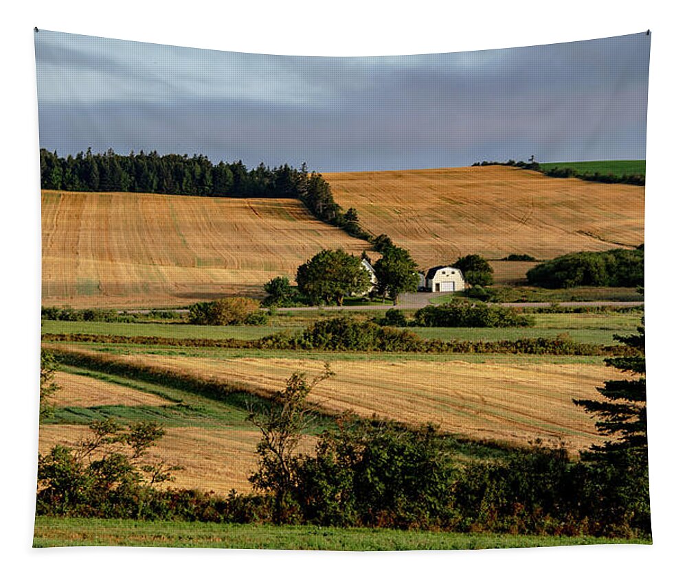 Pei Tapestry featuring the photograph Fields and Farms Patchwork by Marcy Wielfaert
