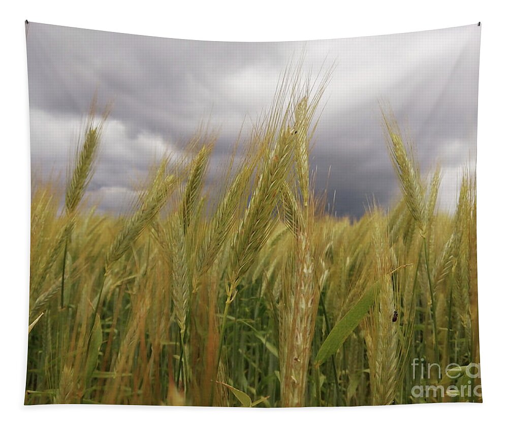 Nature Tapestry featuring the photograph Fields of Gold by Alexandra Vusir