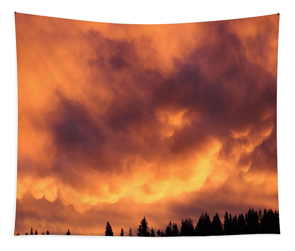 Clouds Tapestry featuring the photograph Fiery clouds by Jean Evans