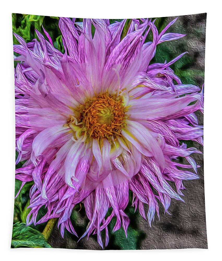 Dahlia Tapestry featuring the photograph facemask Filoli pink swirl by Patricia Dennis