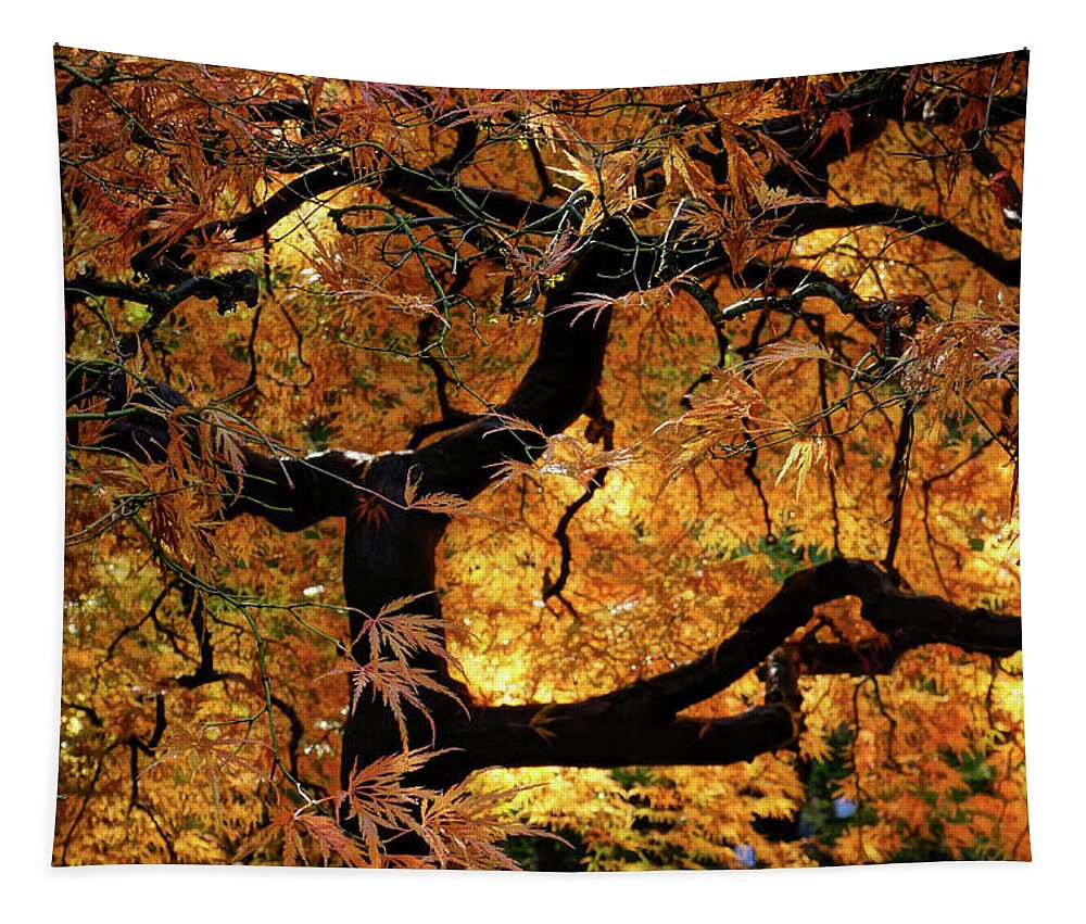 Portland Japanese Garden Tapestry featuring the photograph Fire Within by Ronda Broatch