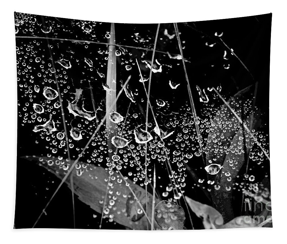 Dew Tapestry featuring the photograph First Dewfall by Debra Banks