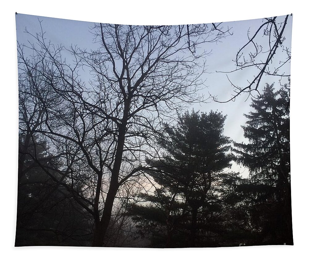 Nature Tapestry featuring the photograph First Light and Fog by Frank J Casella