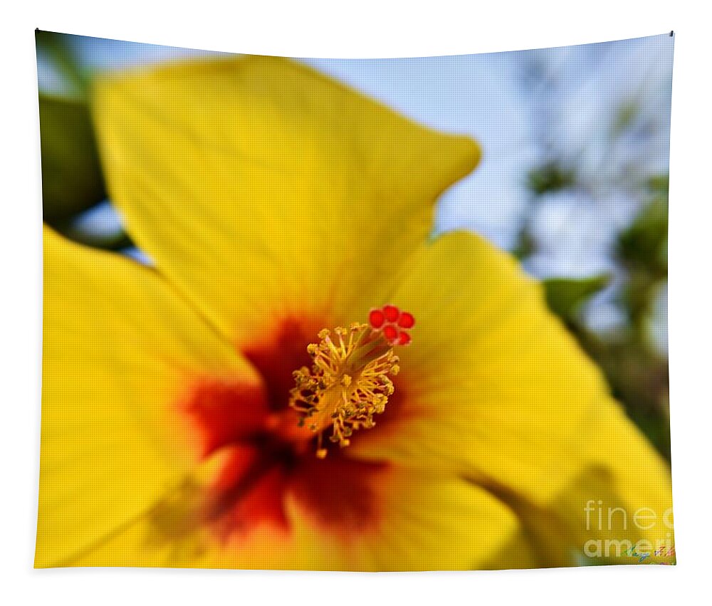 Bradenton Tapestry featuring the photograph Flaming Stamen Stigma 2 by Gary F Richards