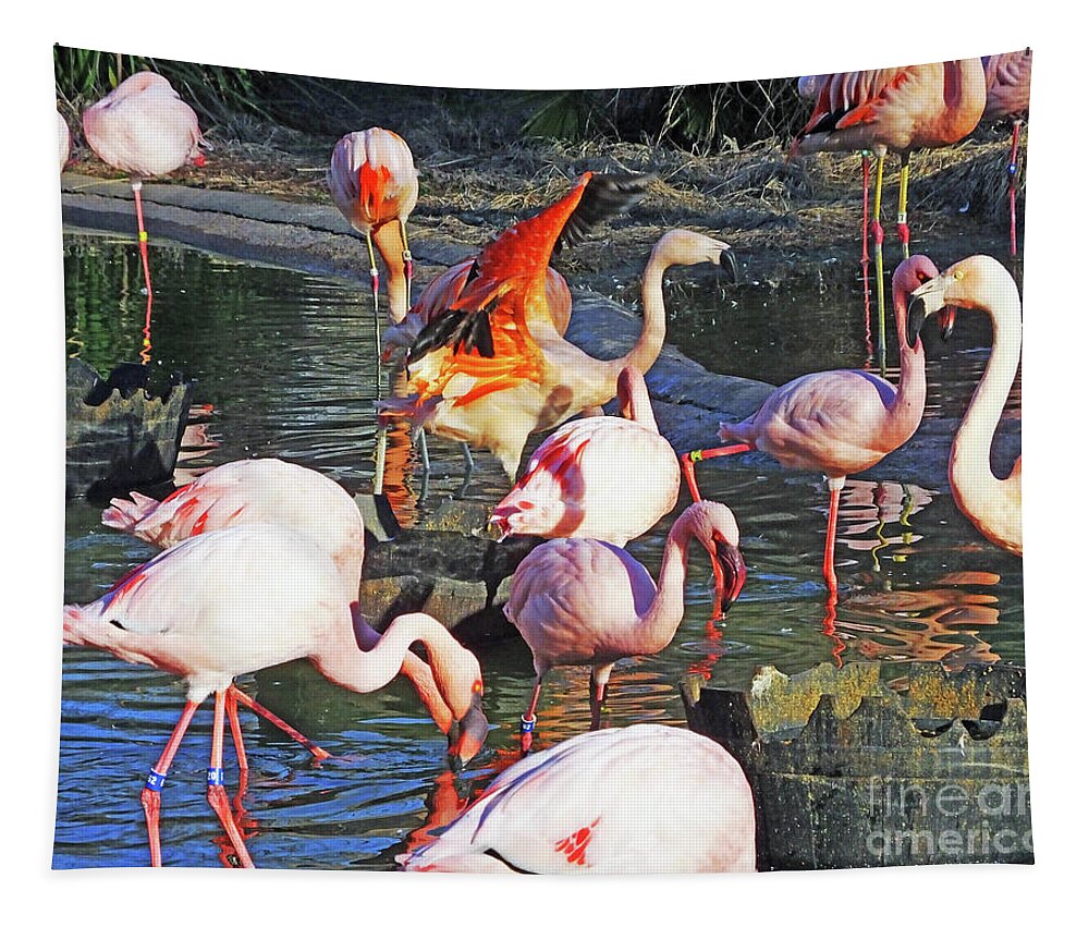 Flamingos Tapestry featuring the photograph Flamingo 11  The Pat by Lizi Beard-Ward