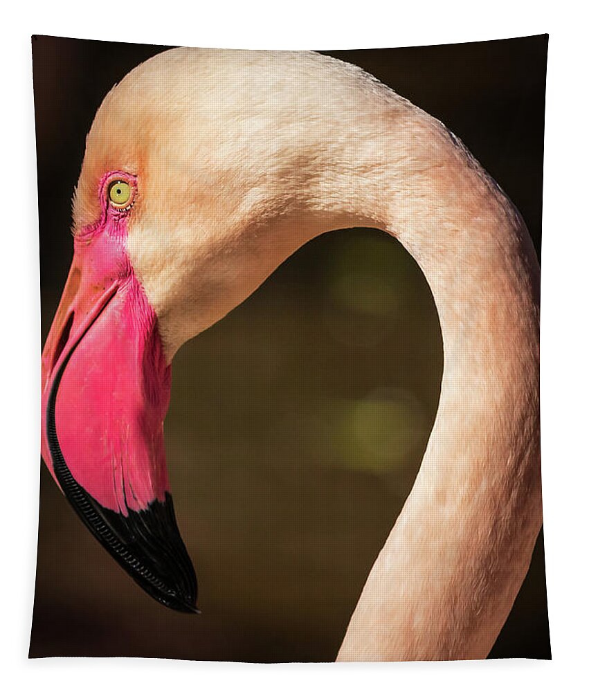 Abstract Tapestry featuring the photograph Flamingo 41 by Chris Smith