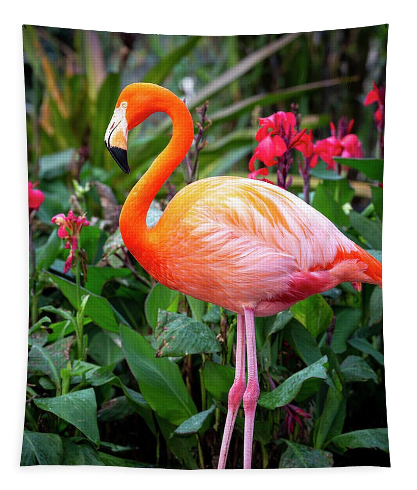 Pink Tapestry featuring the photograph Flamingo III by Brian Jannsen