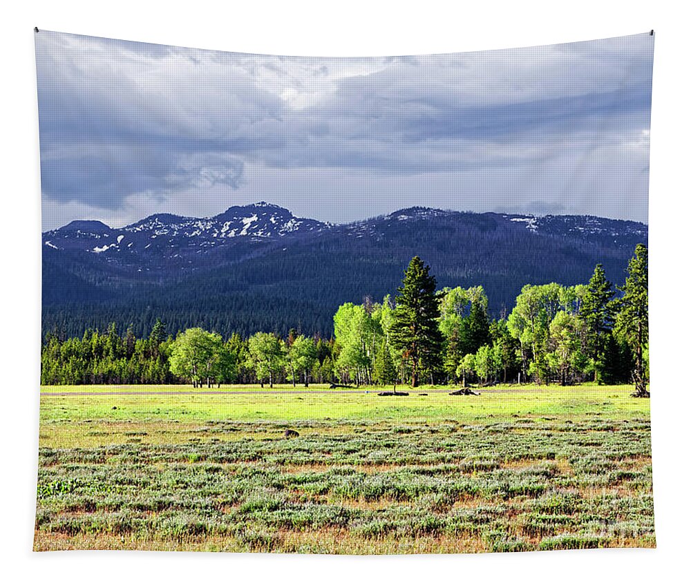Wide Open Spaces Tapestry featuring the photograph Flat Wide Lush Green Prairie Beautiful Sun Sunshine Mixed Trees On Edge Snowy Mountains Background by Robert C Paulson Jr