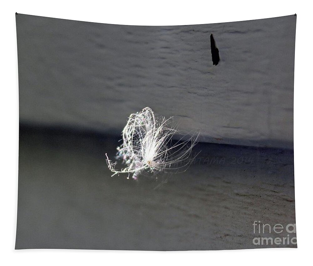 Feather Tapestry featuring the photograph Floating Feather by Ann E Robson
