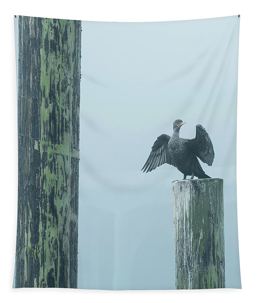 Oregon Tapestry featuring the photograph Florence Oregon Cormorant in Morning Fog by Scott Slone