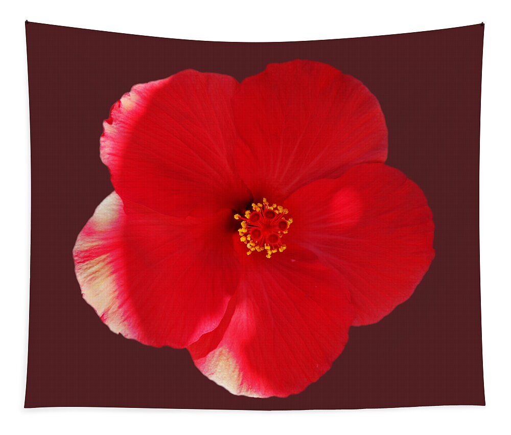 Red Flower Tapestry featuring the photograph Flower Power by Charles Stuart