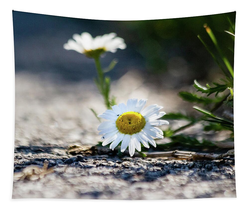 Beautiful Tapestry featuring the photograph Flower streetside by SAURAVphoto Online Store