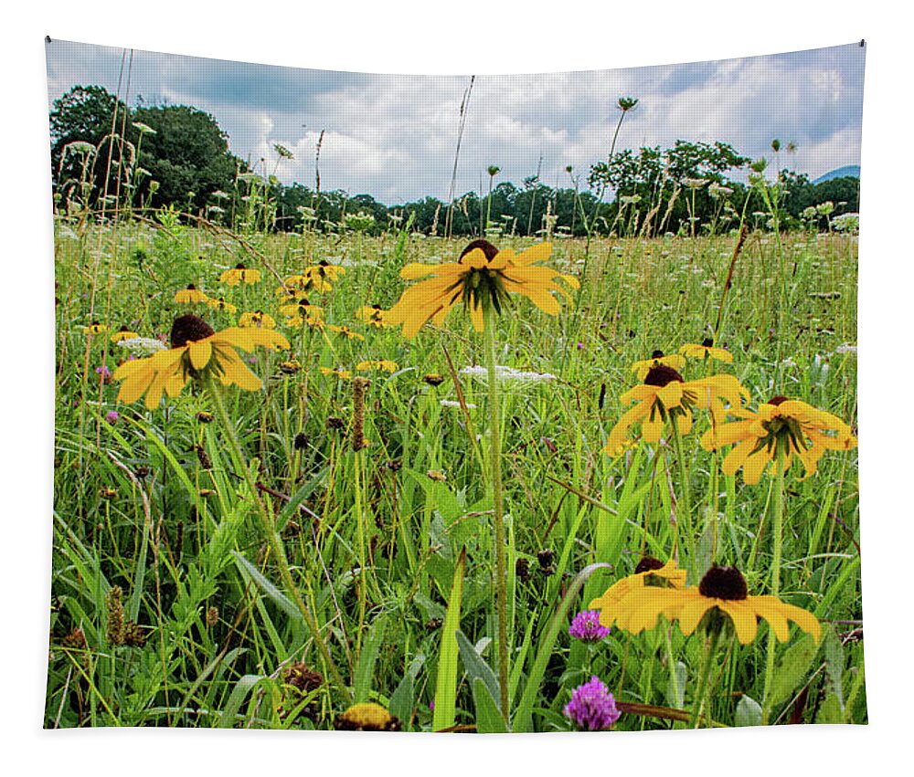 Clover Tapestry featuring the photograph Flowers of the Field, Cades Cove by Marcy Wielfaert