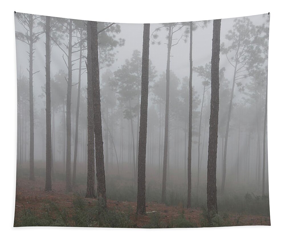 Fog Tapestry featuring the photograph Fog in the Pines by Donna Twiford