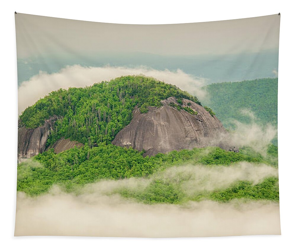 Asheville Tapestry featuring the photograph Fog Over Looking Glass Rock by Joye Ardyn Durham