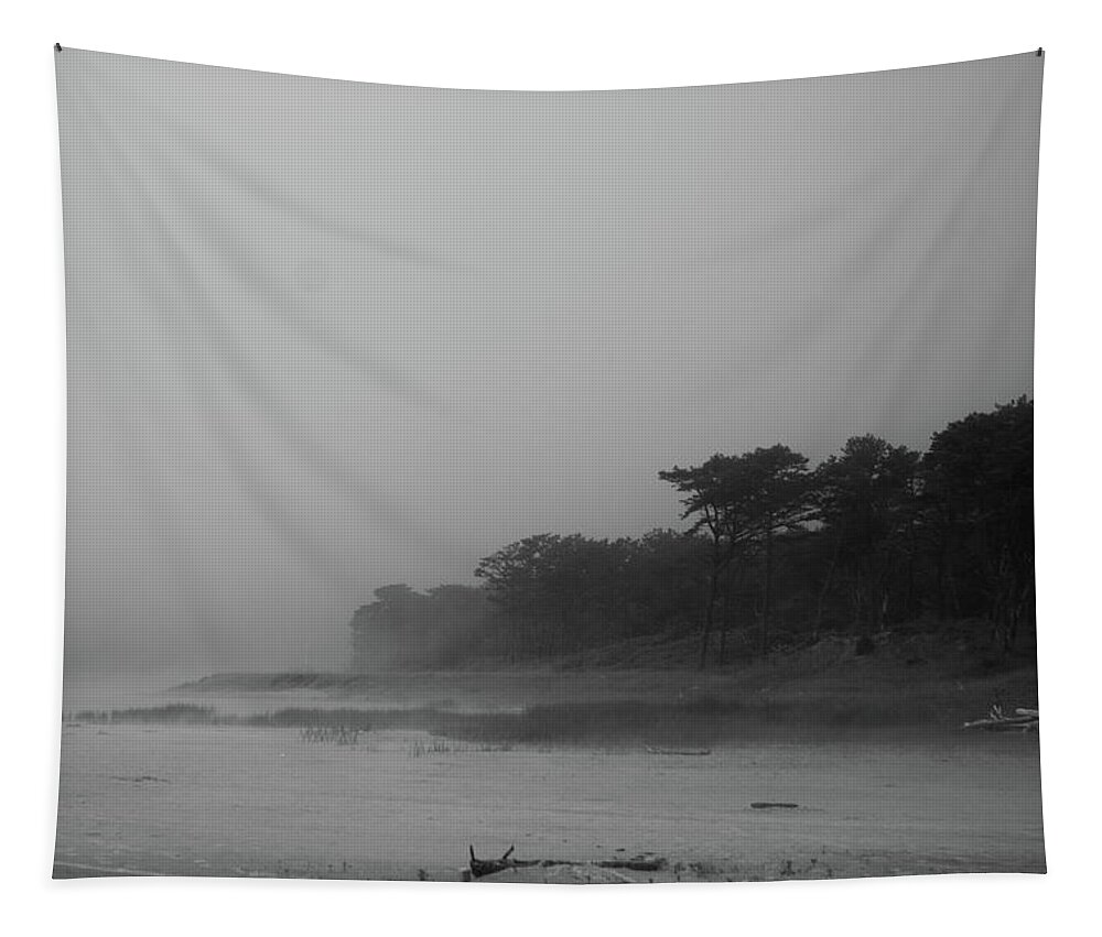 Beach Tapestry featuring the photograph Foggy beach by Jean Evans
