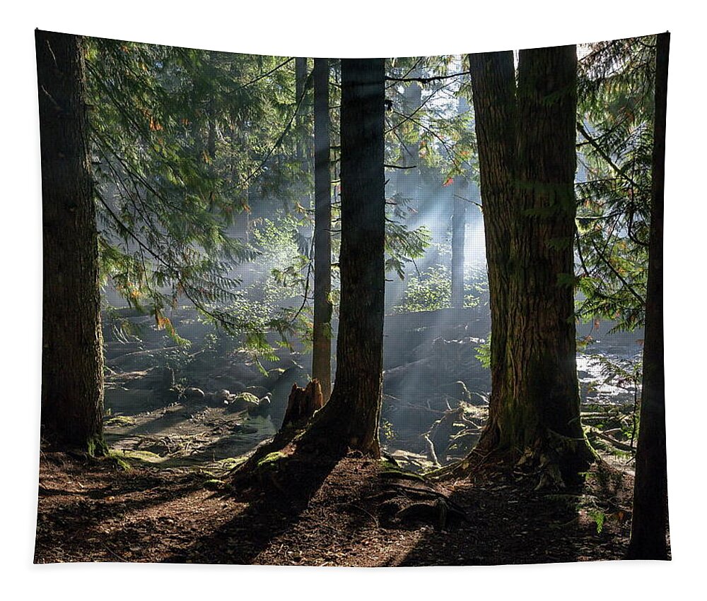 Alex Lyubar Tapestry featuring the photograph Foggy morning in the forest by Alex Lyubar
