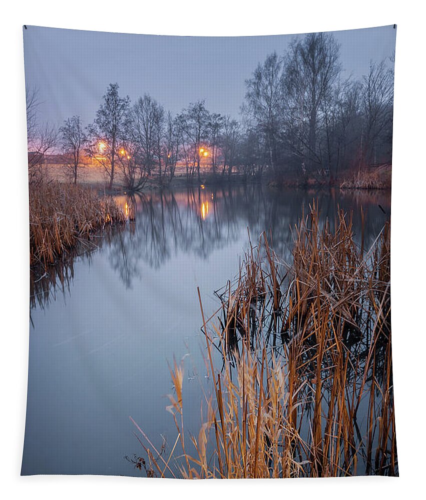 Sweden Tapestry featuring the photograph Foggy pond landscape in evening by Sophie McAulay