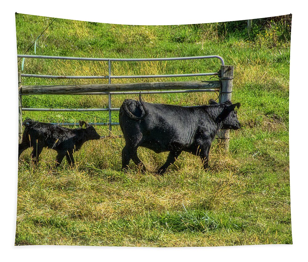 Cattle Tapestry featuring the photograph Following Momma by Cathy Kovarik