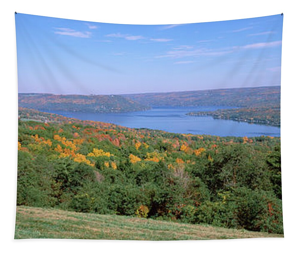 Photography Tapestry featuring the photograph Forest At The Lakeside, Keuka Lake by Panoramic Images