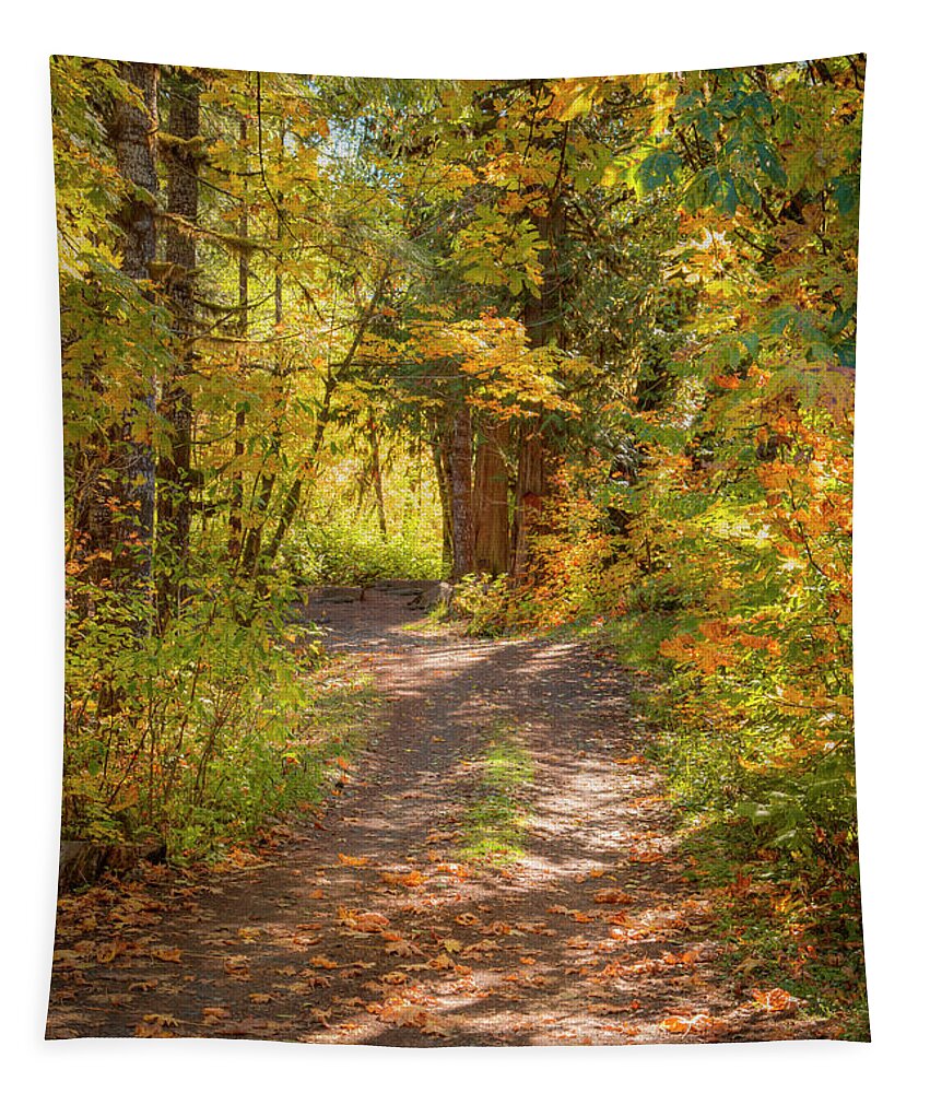 National Tapestry featuring the photograph Forest Road 0905 by Kristina Rinell
