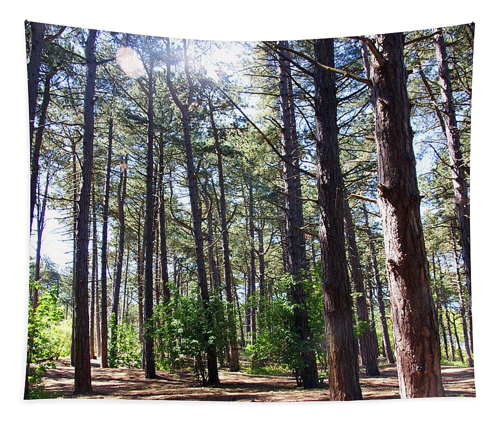 Formby Tapestry featuring the photograph  FORMBY. Woodland By The Coast by Lachlan Main