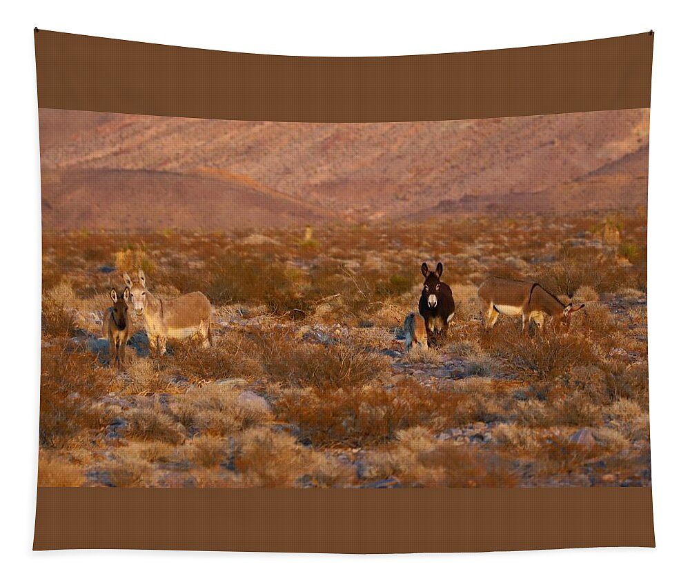 Indian Springs Tapestry featuring the photograph Four Legged Wild Family by Maria Jansson