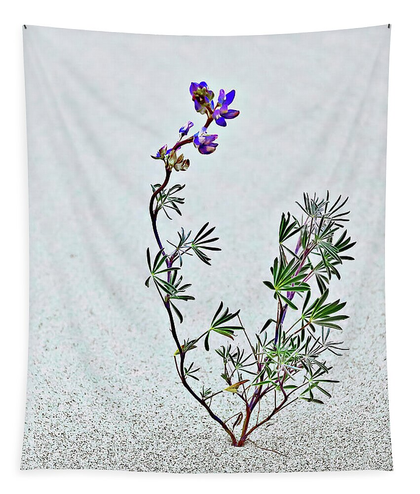 Flower Tapestry featuring the photograph Fragile Defiance by John Christopher