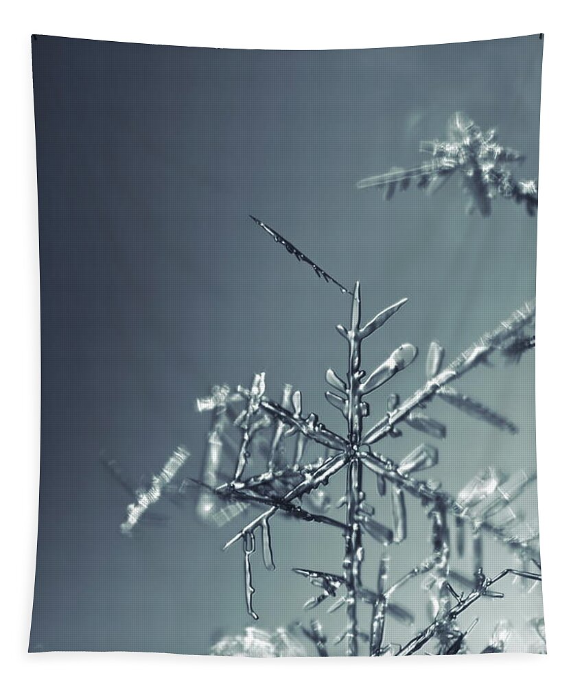 Abstract Tapestry featuring the photograph Fragile snowflake - monochrome blue by Intensivelight