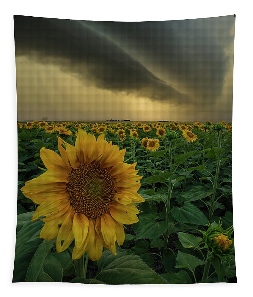 Blooming Tapestry featuring the photograph Frailty by Aaron J Groen