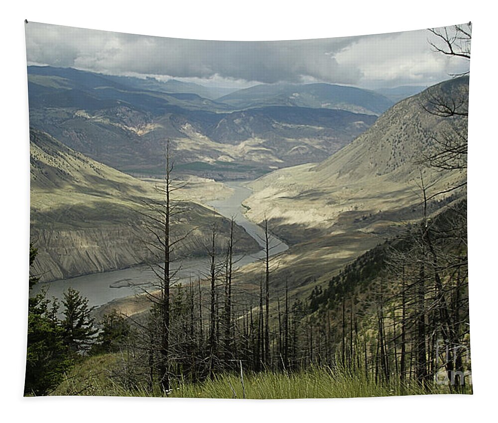 Fraser River Tapestry featuring the photograph Fraser River 1 by Roland Stanke