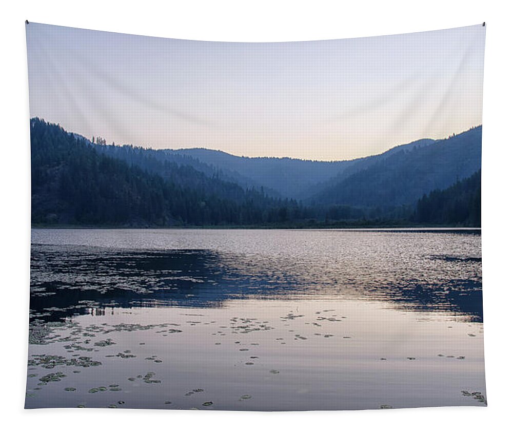 Landscape Tapestry featuring the photograph Freeman Lake AM by Debra Baldwin