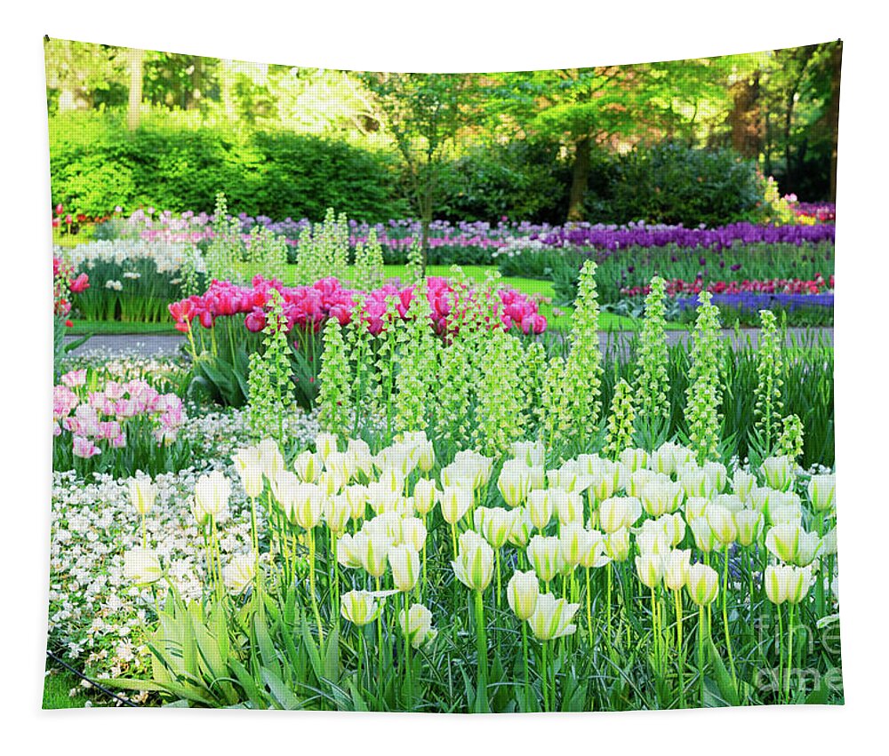 Holland Tapestry featuring the photograph Spring Garden by Anastasy Yarmolovich