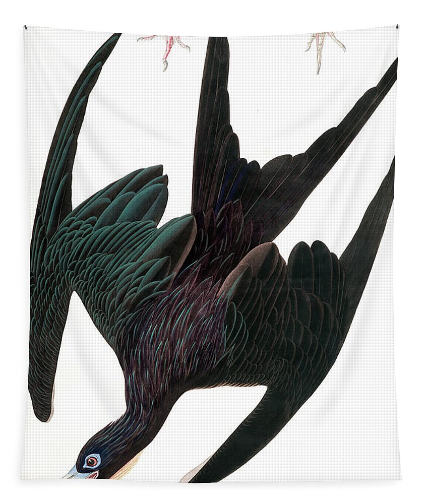 Diving Tapestry featuring the painting Frigate Pelican, Tachypetes Aquilis by Audubon by John James Audubon