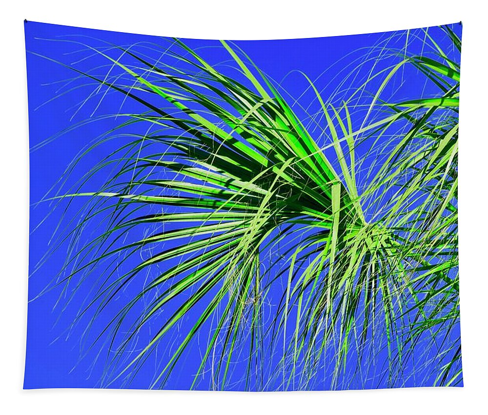 Palm Tree Tapestry featuring the photograph Fringe by Debra Grace Addison