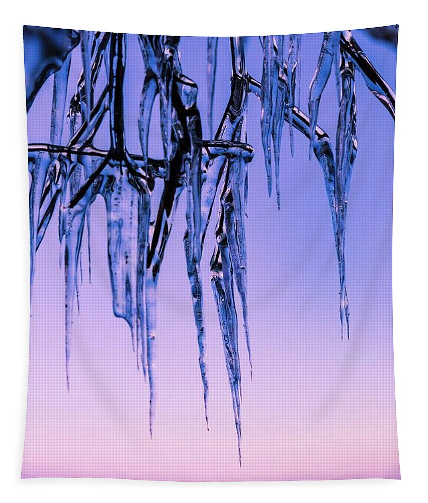 Ice Tapestry featuring the photograph Fringe by Terri Hart-Ellis