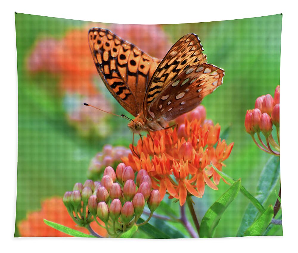 Fritillary Butterfly Tapestry featuring the photograph Fritillary Butterfly on Butterfly Milkweed by Kerri Farley