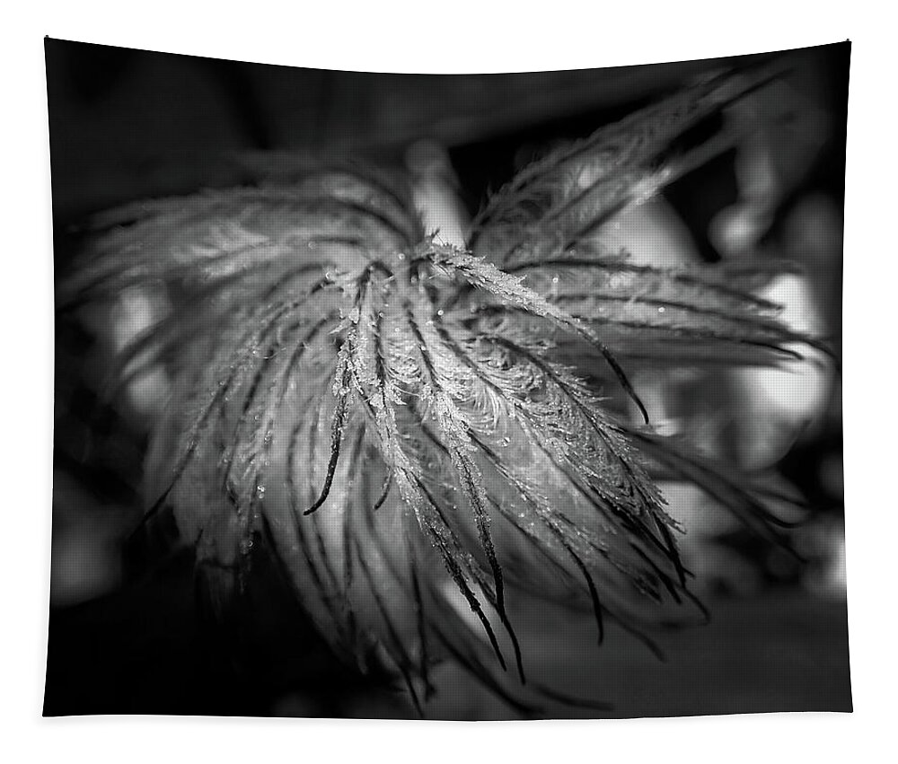Chrystal Mimbs Tapestry featuring the photograph Frost On Clematis In Black and White by Greg and Chrystal Mimbs