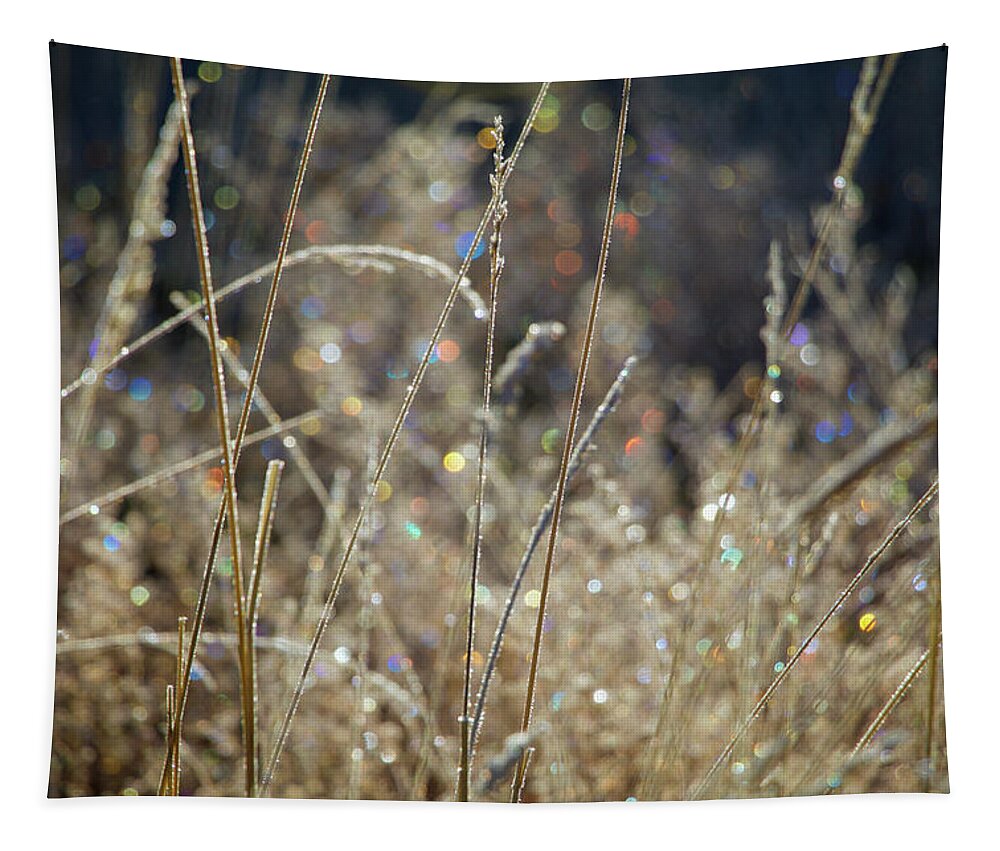 Frost Tapestry featuring the photograph Frosty Meadow Grass 2 by Randy Robbins