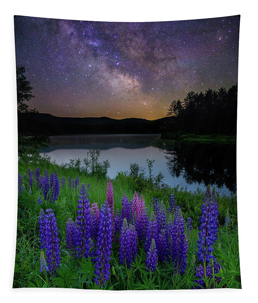 New Hampshire Tapestry featuring the photograph Galactic Lupines by Rob Davies