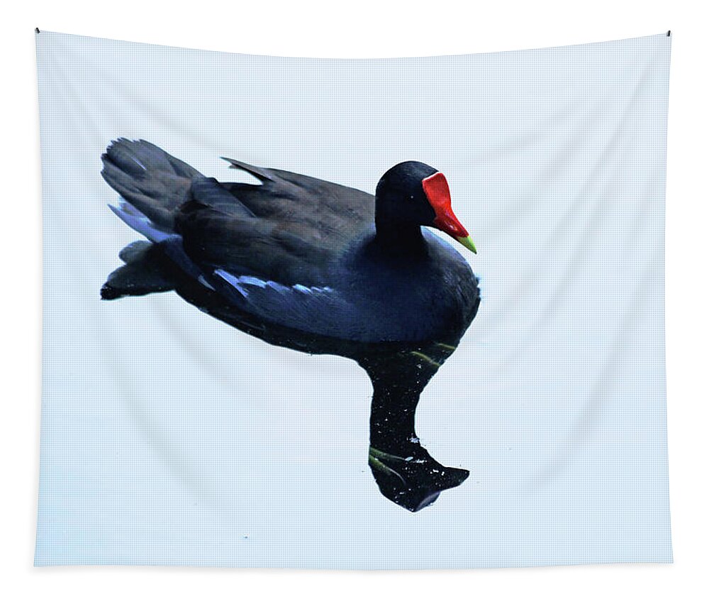 Gallinule Tapestry featuring the photograph Gallinule by Debbie Oppermann