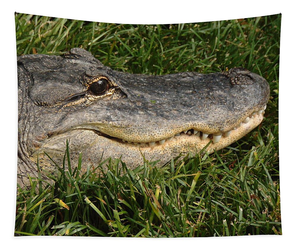 Alligator Tapestry featuring the photograph Gator Grill by Antonio Moore
