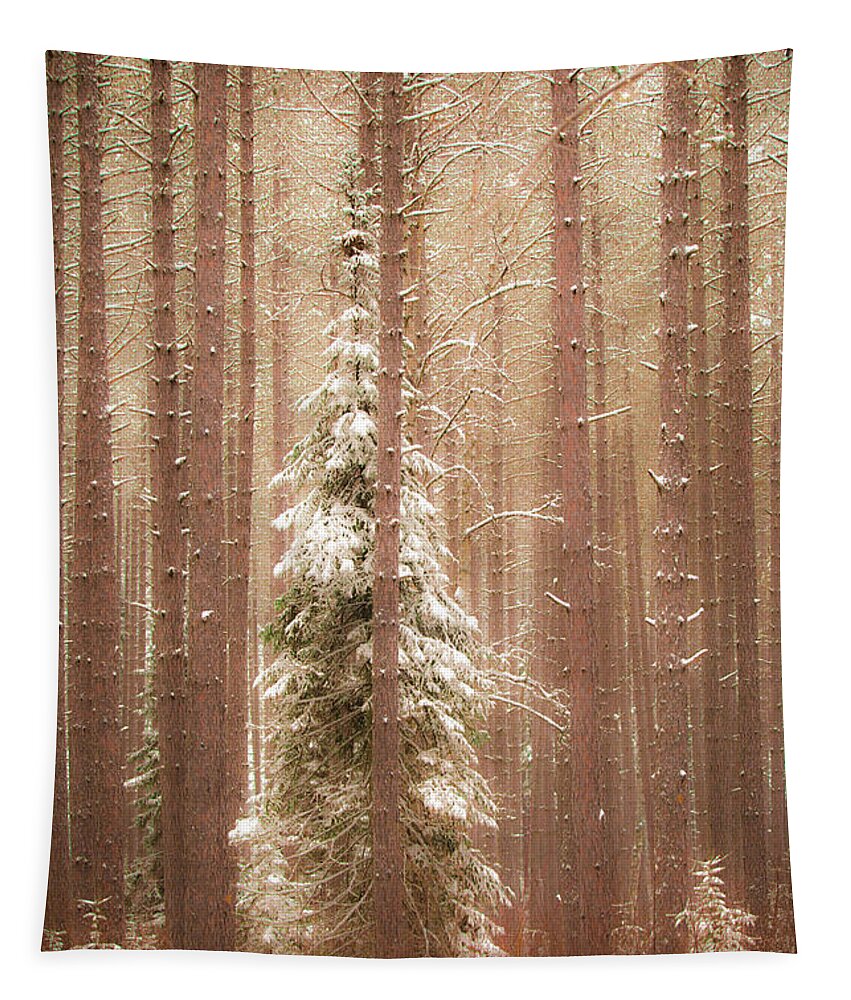 George Washington Pines Tapestry featuring the photograph George Washington Pines by Joe Kopp
