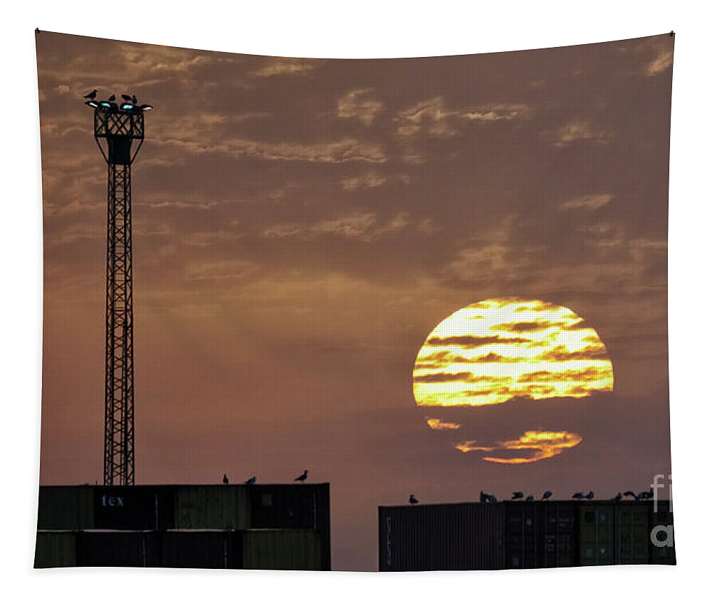 Bright Tapestry featuring the photograph Giant Sun at Sunrise Cadiz Harbour by Pablo Avanzini