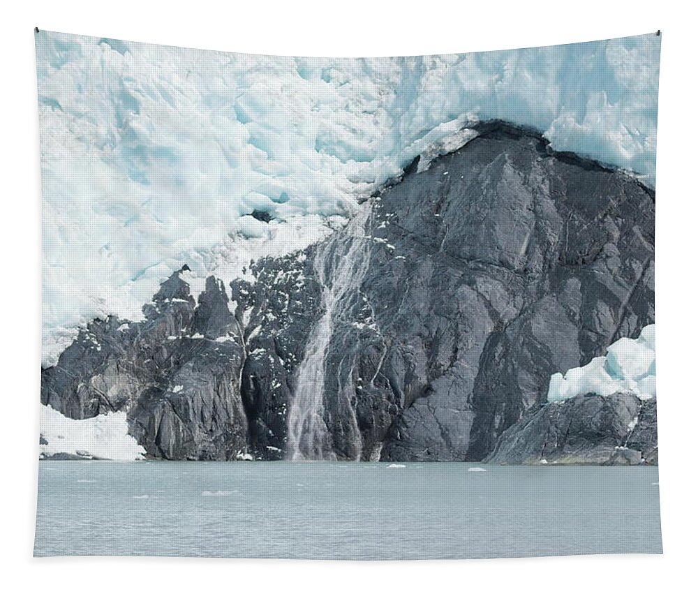 Glacier Tapestry featuring the photograph Glacier 8869 by John Moyer