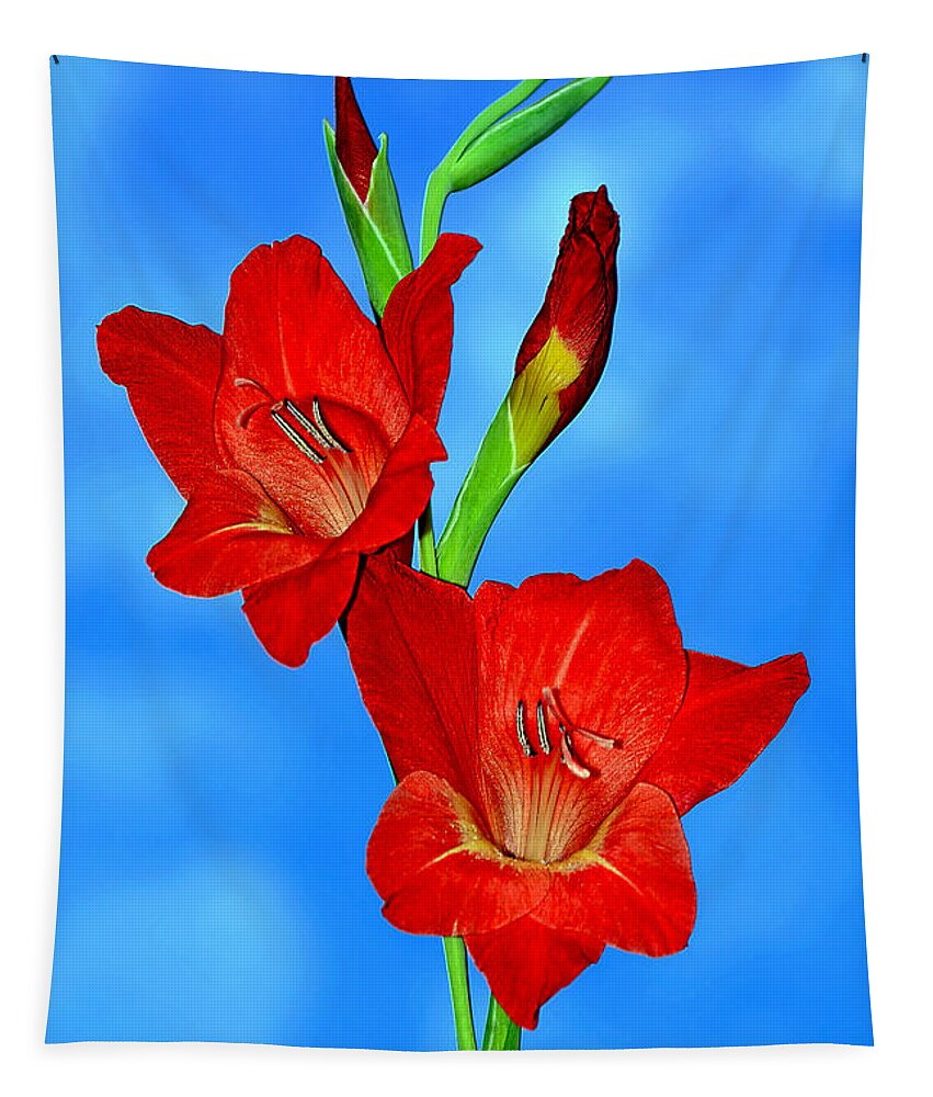 Gladioli In The Sky Tapestry featuring the photograph Gladioli in the Sky by Kaye Menner by Kaye Menner