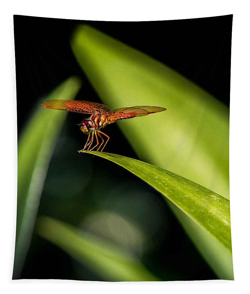 Dragonflies Tapestry featuring the photograph GLEE of NATURE by Karen Wiles